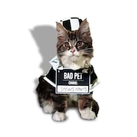Petco Halloween Prisoner Costume, 3-pc