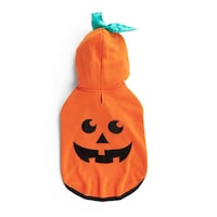 Petco Halloween Pumpkin Hoodie