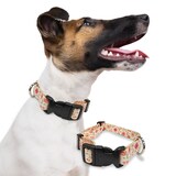 Perri's Morning Floral Adjustable Dog Collar, Assorted Sizes Composite_or_Mixed