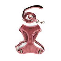 Reddy Cat Harness Set, Burgundy, Small/Medium Composite_or_Mixed