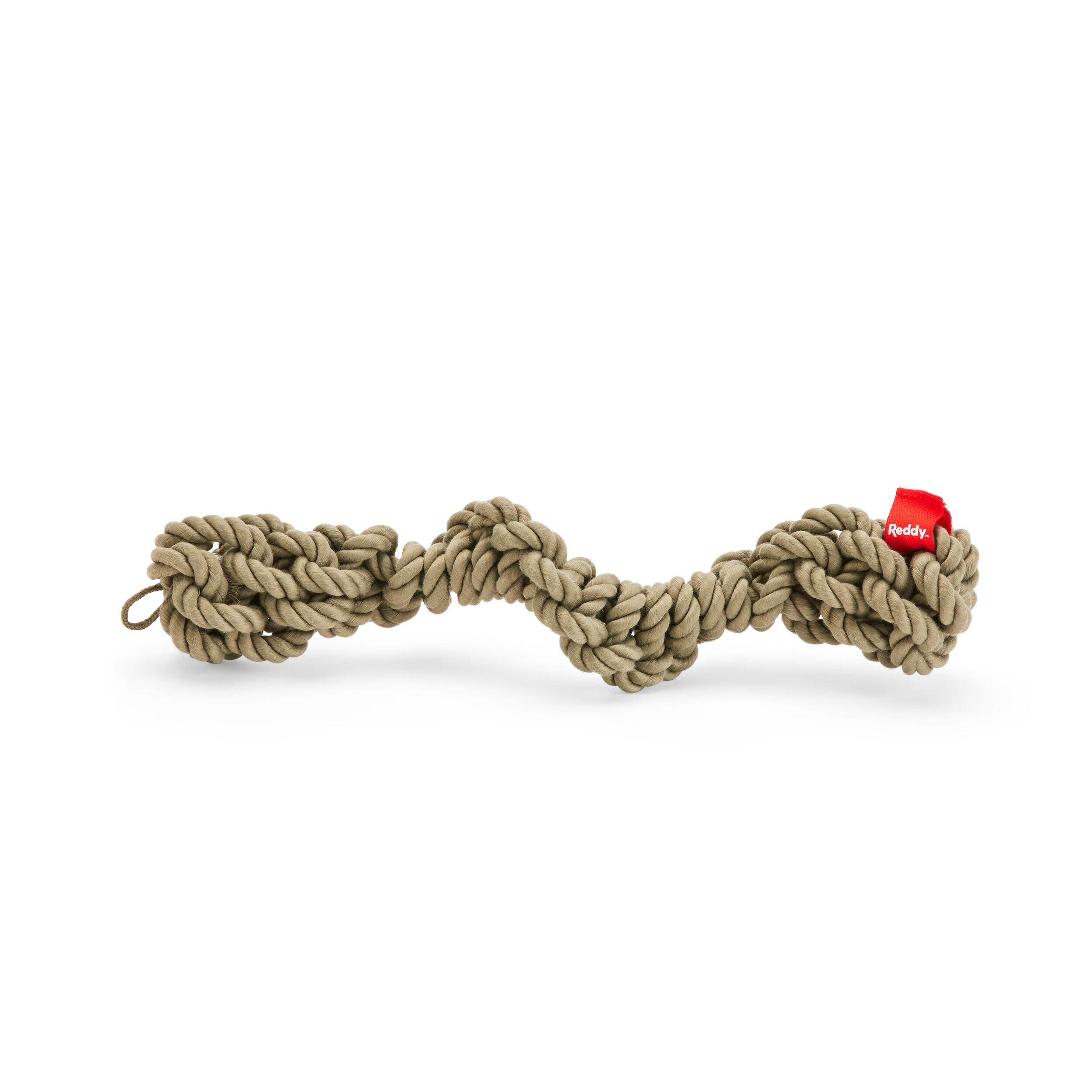 Reddy Macro Stick Dog Toy, Sage, Large Front_Flat