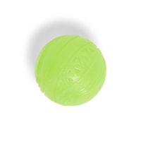 Petco Glow-In-The-Dark TPR Ball with Squeaker, 2.5-in Overhead_Plunge