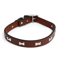 Petco Leather Studded Bone Dog Collar, Brown, More Options Available