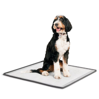 So Phresh Silicone Potty Pad Holder, Grey, 24.3-in x 24.3-in Overhead_Plunge