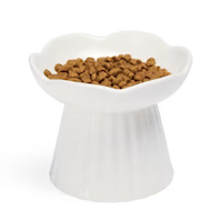 Petco Ceramic Elevated Floral Cat Bowl, White, 179-mL