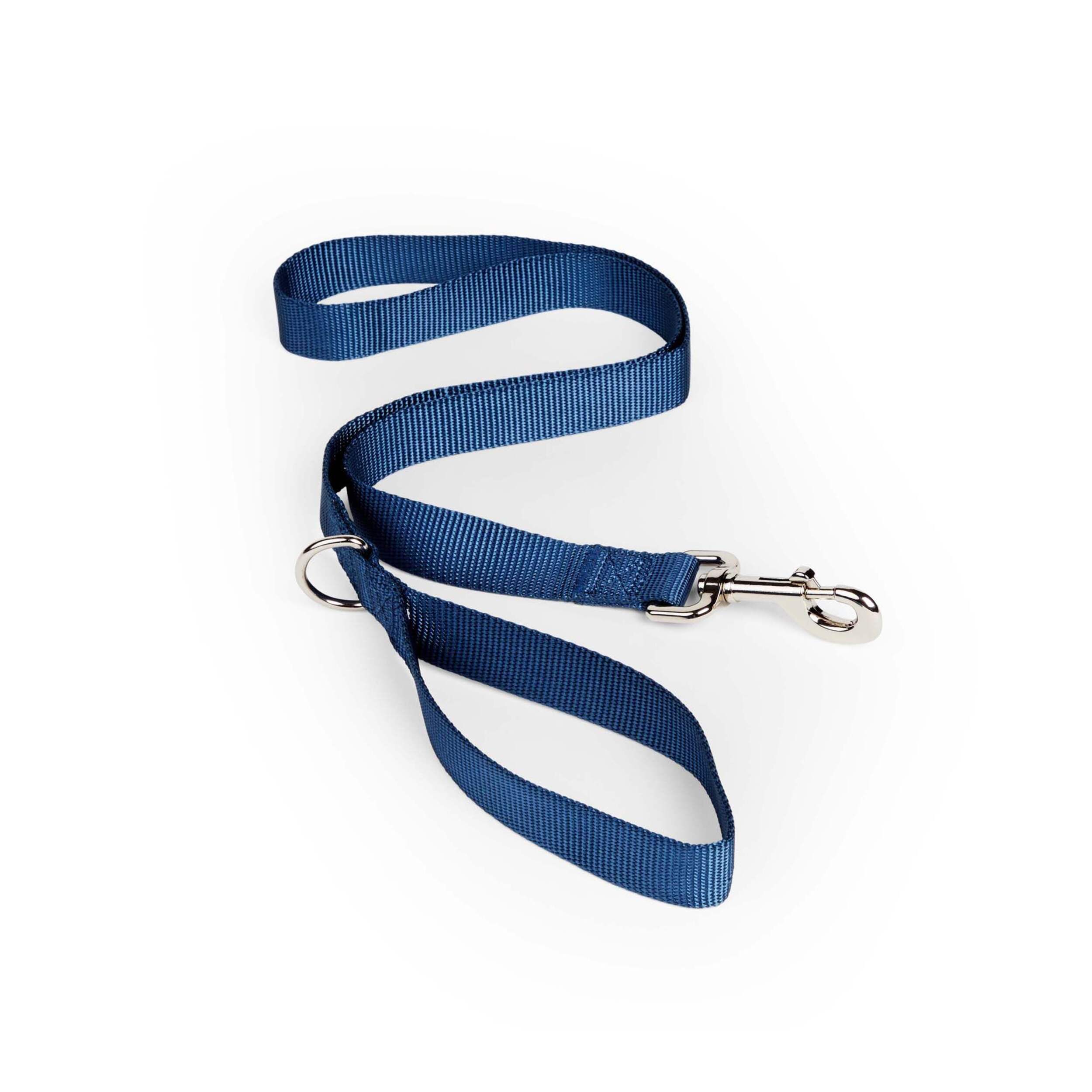 Petco Blue Nylon Dog Leash with Metal Swivel Snap, 4-ft Front_Elevated