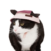 Reddy Cat Bucket Hat Front_Angled_Left