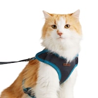 Reddy Teal Cushioned Cat Harness Set, Assorted Sizes Front_Angled_Right
