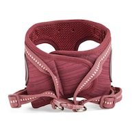 Reddy Rose Cushioned Cat Harness Set, Assorted Sizes Front_Elevated
