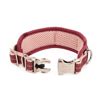 Reddy Stripe Dog Collar XS/S, Burgundy Front_Elevated