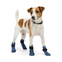 Reddy Pet Socks, Navy