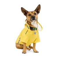 Petco Yellow Dog Raincoat, Assorted Sizes