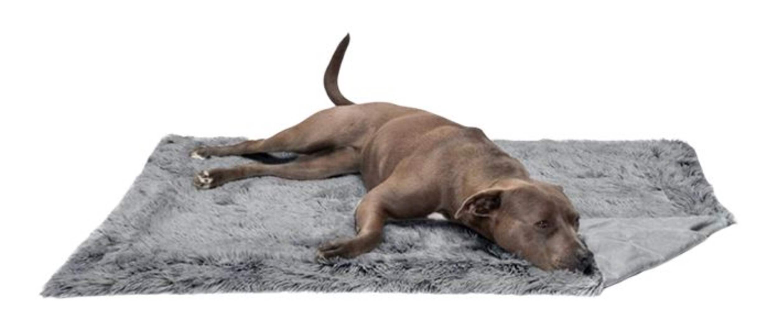 Max & Marlow Grey Plush Fabric Pet Blanket, 12x16-in Front_Elevated