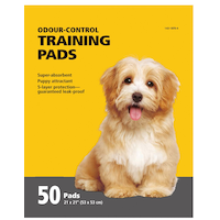 Training Pads, 50-pk