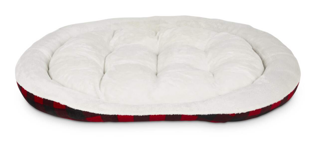 Dog beds 2025 at canadian tire