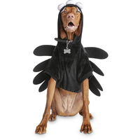 Petco Halloween Spider Dog/Pet Costume Hoodie, Assorted Sizes, Black