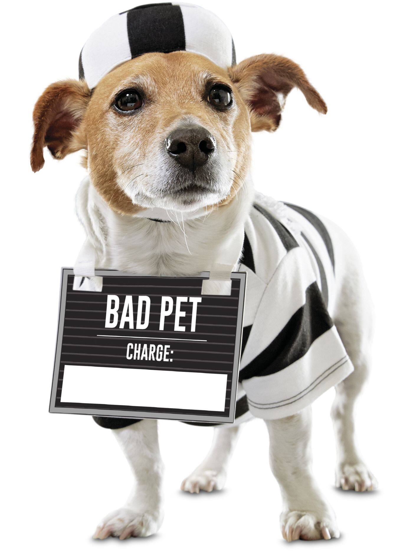 Bootique Prisoner Dog Costume