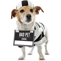 Criminal best sale dog costume