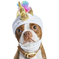 Petco Halloween Unicorn Dog Costume Hat, Assorted Sizes