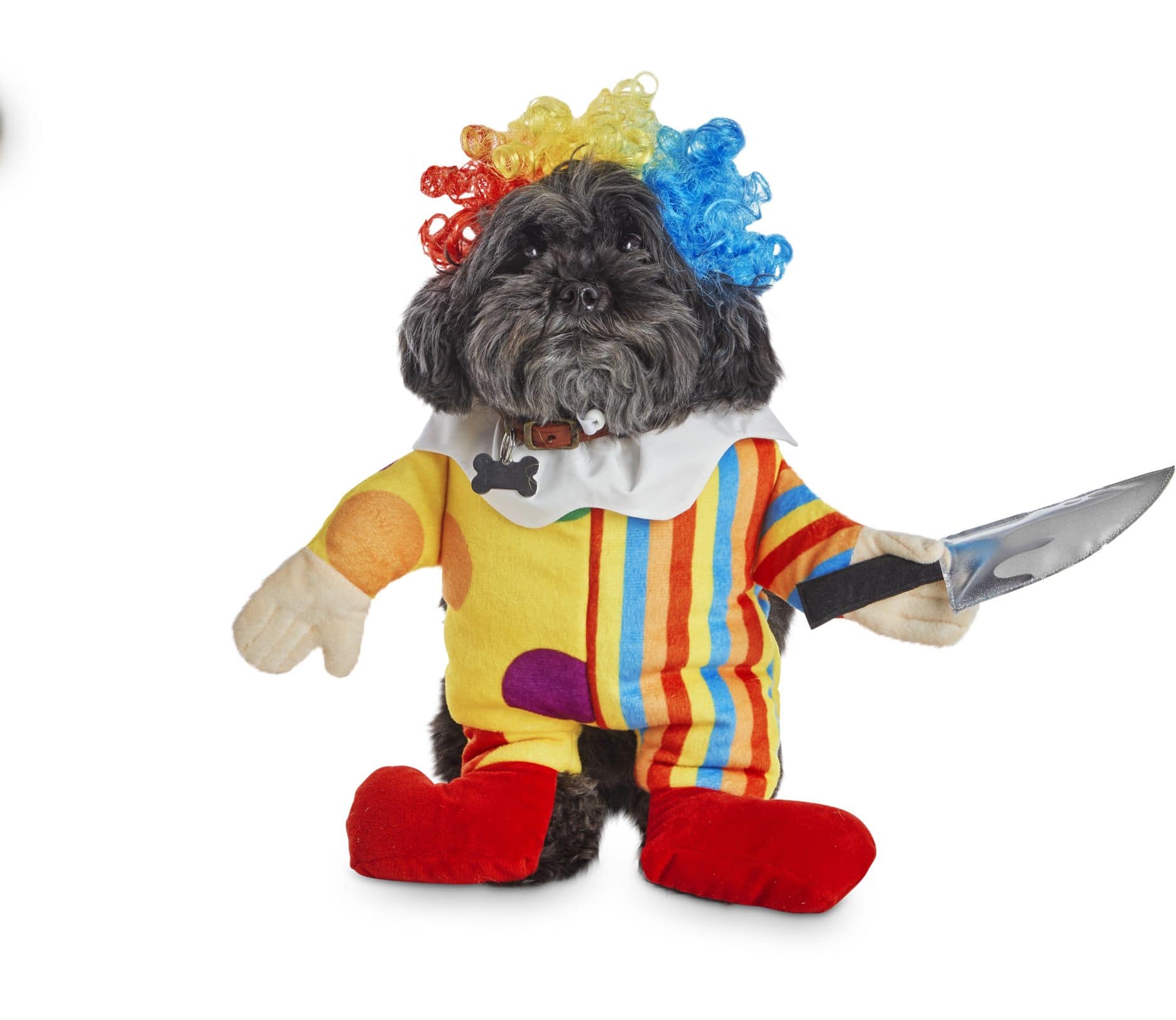 Petco Halloween Clown Illusion Dog Costume