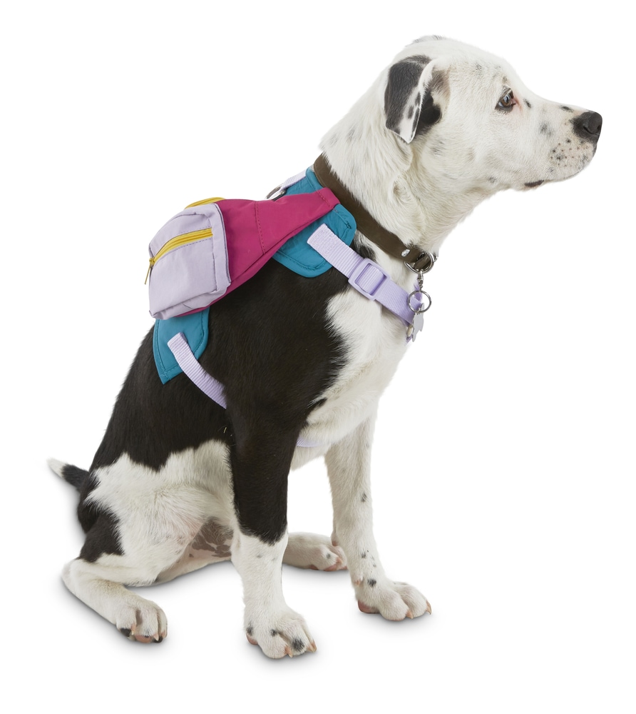 Petco Newstalgia Dog Fanny Pack, Assorted Sizes, Pink Canadian Tire