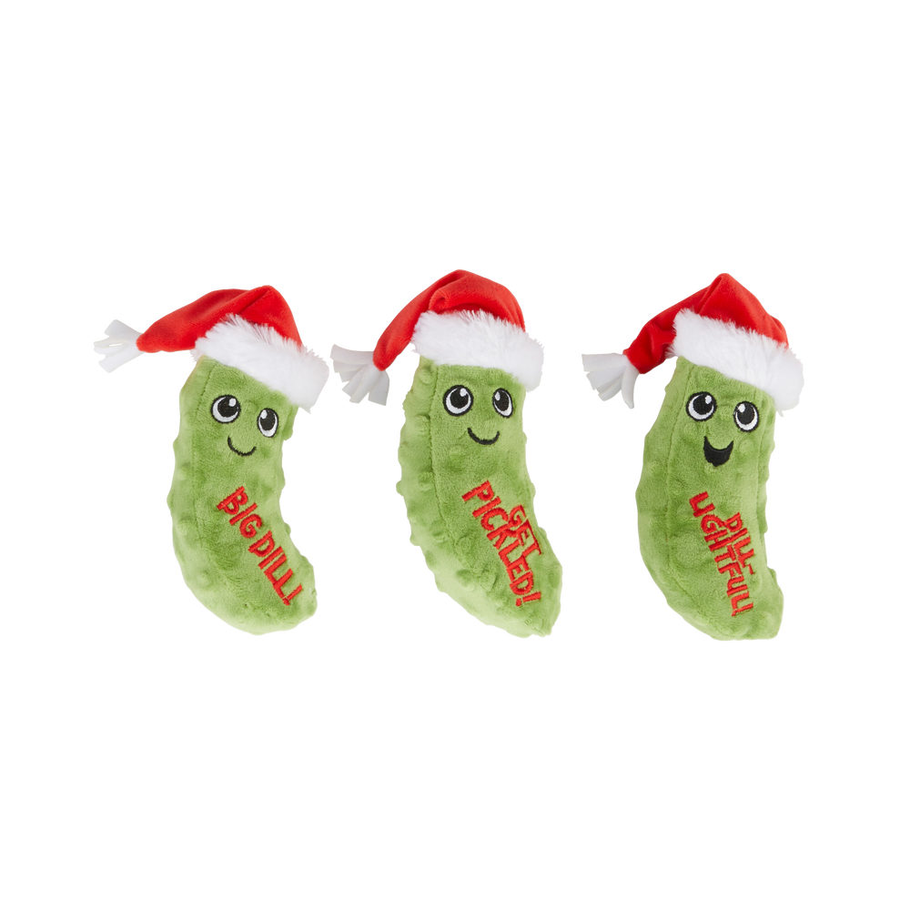 santa pickle dog toy