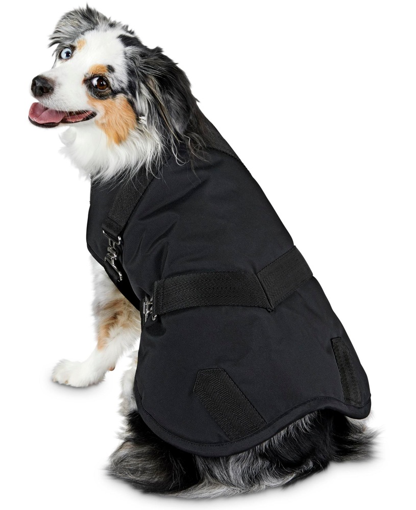 Petco Horse Blanket Winter Dog Coat Jacket, WaterRepellant and