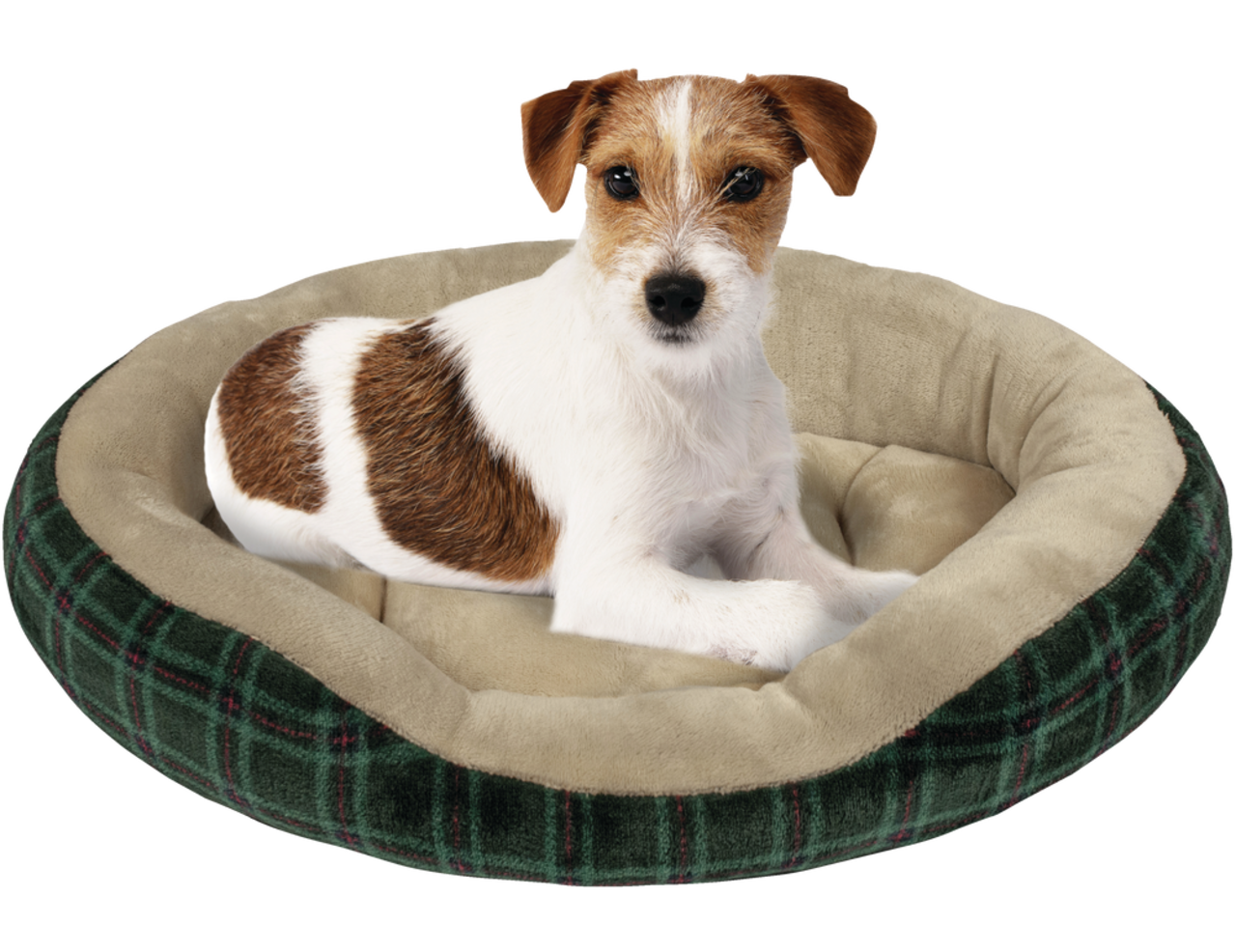 Dog bed covers petco sales