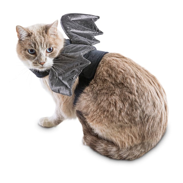 Petco Halloween Bratty Batty Cat Costume Party City