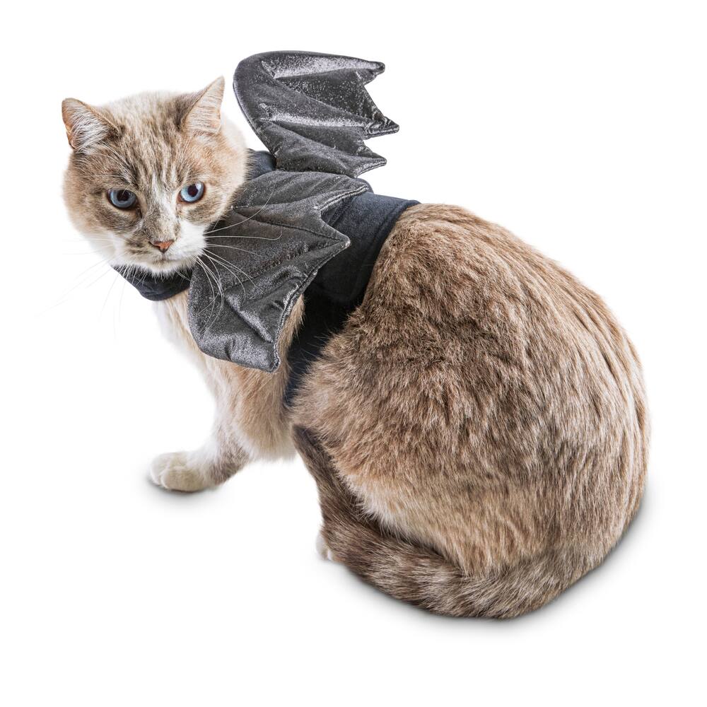 Petco Halloween Bratty Batty Cat Costume | Canadian Tire