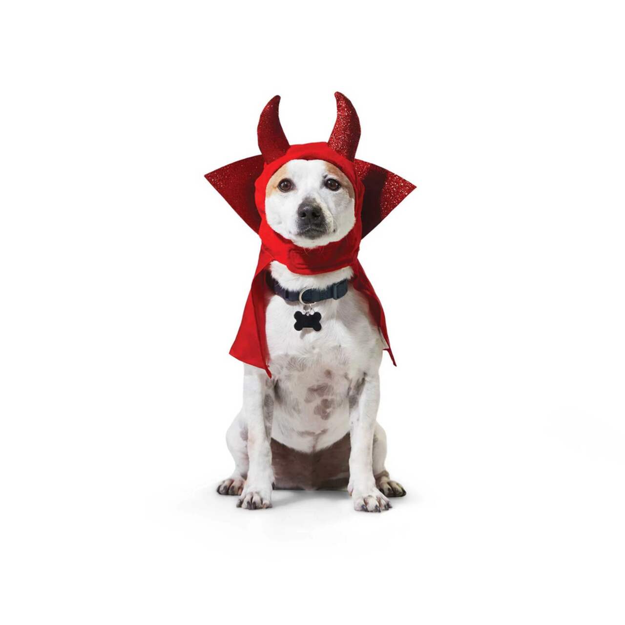 Dog devil costume 2025