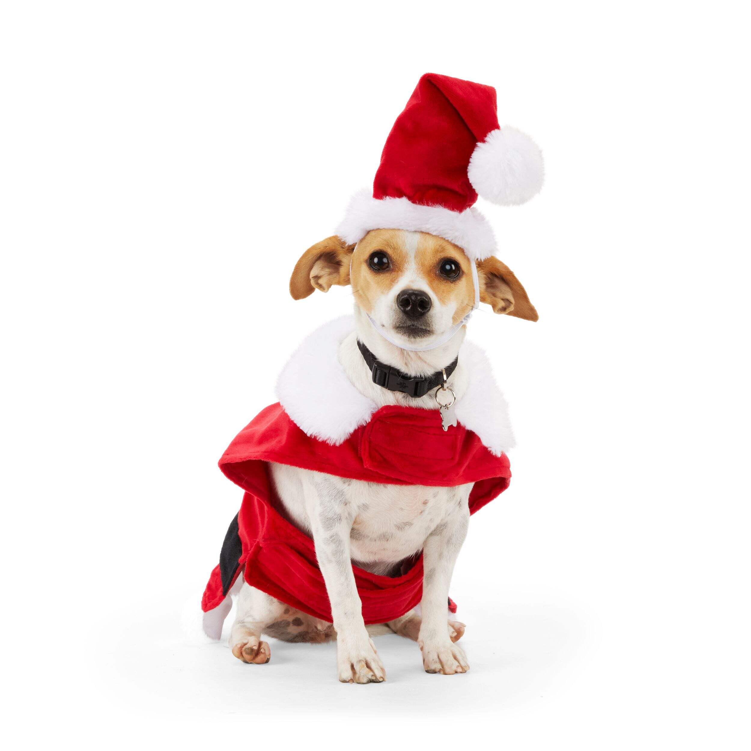 Merry Makings at Petco Santa Suit Pet Costume Canadian Tire