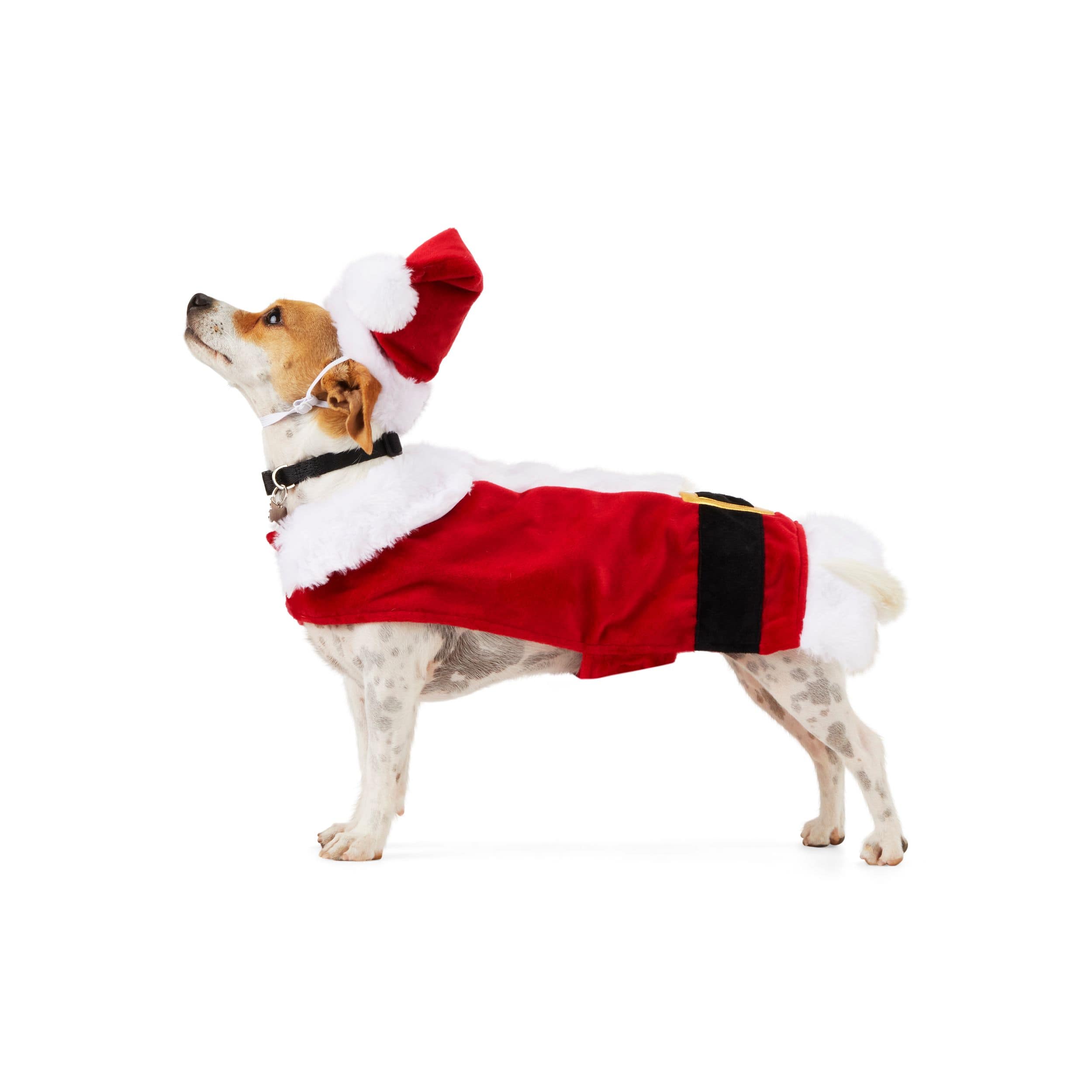 Petco dog christmas outlet clothes