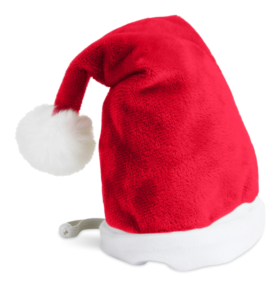 Petco Holiday Pet Santa Hat Canadian Tire