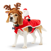 Merry Makings at Petco Reindeer Holiday Pet Costume