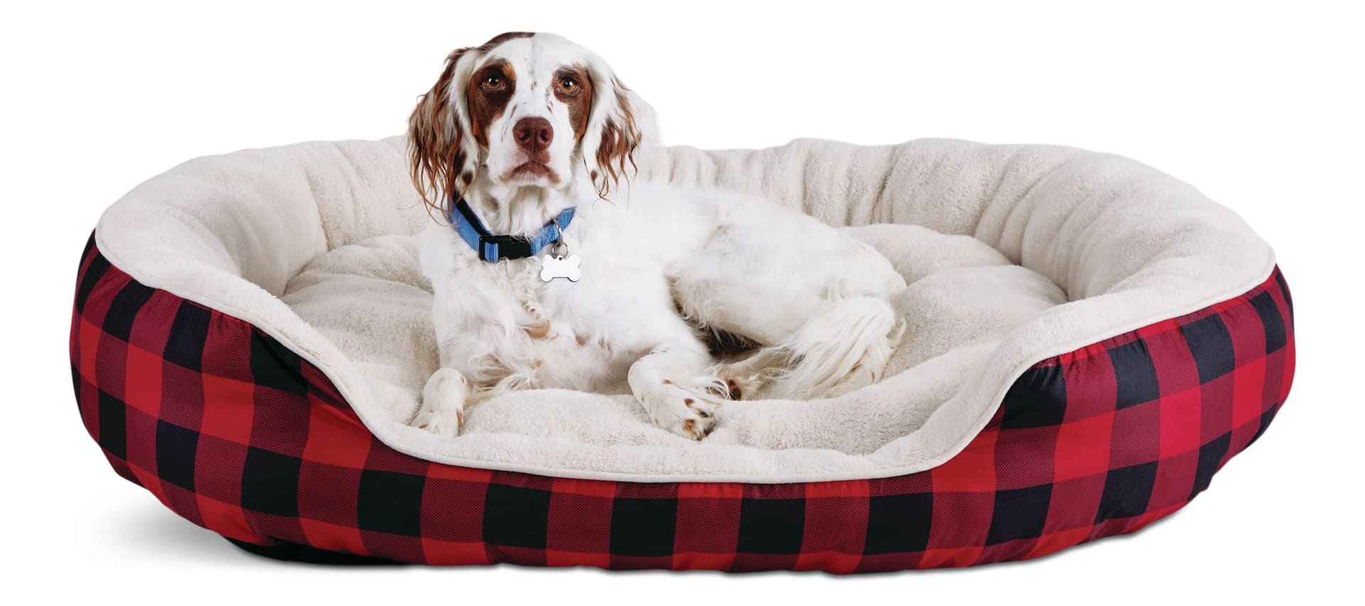 Petco best sale dog couch