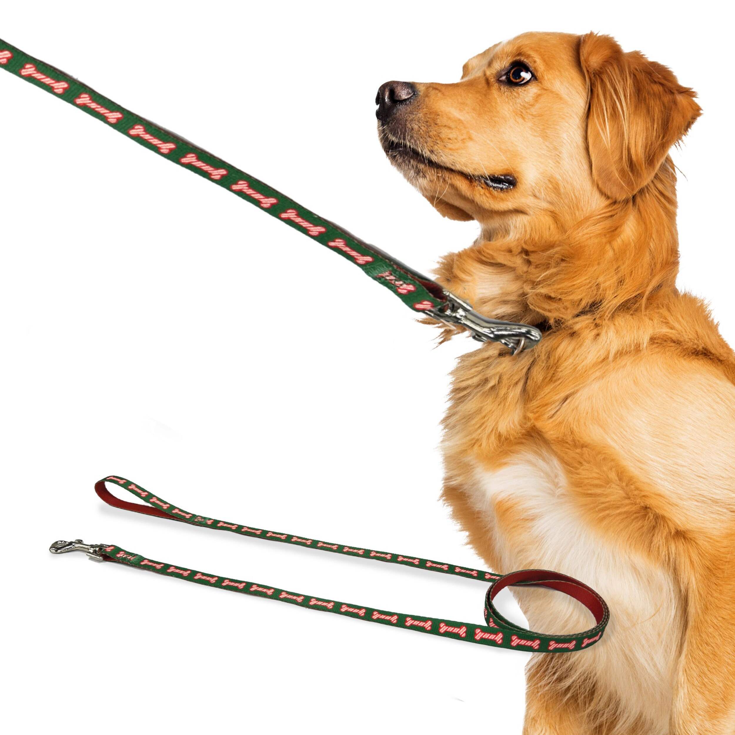 Laisse Perri's, os pour chien de Noël, taille unique Composite_or_Mixed