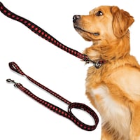 Laisse pour chiens Perri's, motif de guingan, taille unique
