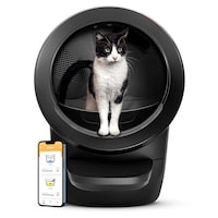 Whisker Litter- Robot 4, Automatic Self-Cleaning Litter Box, Black Front_Flat