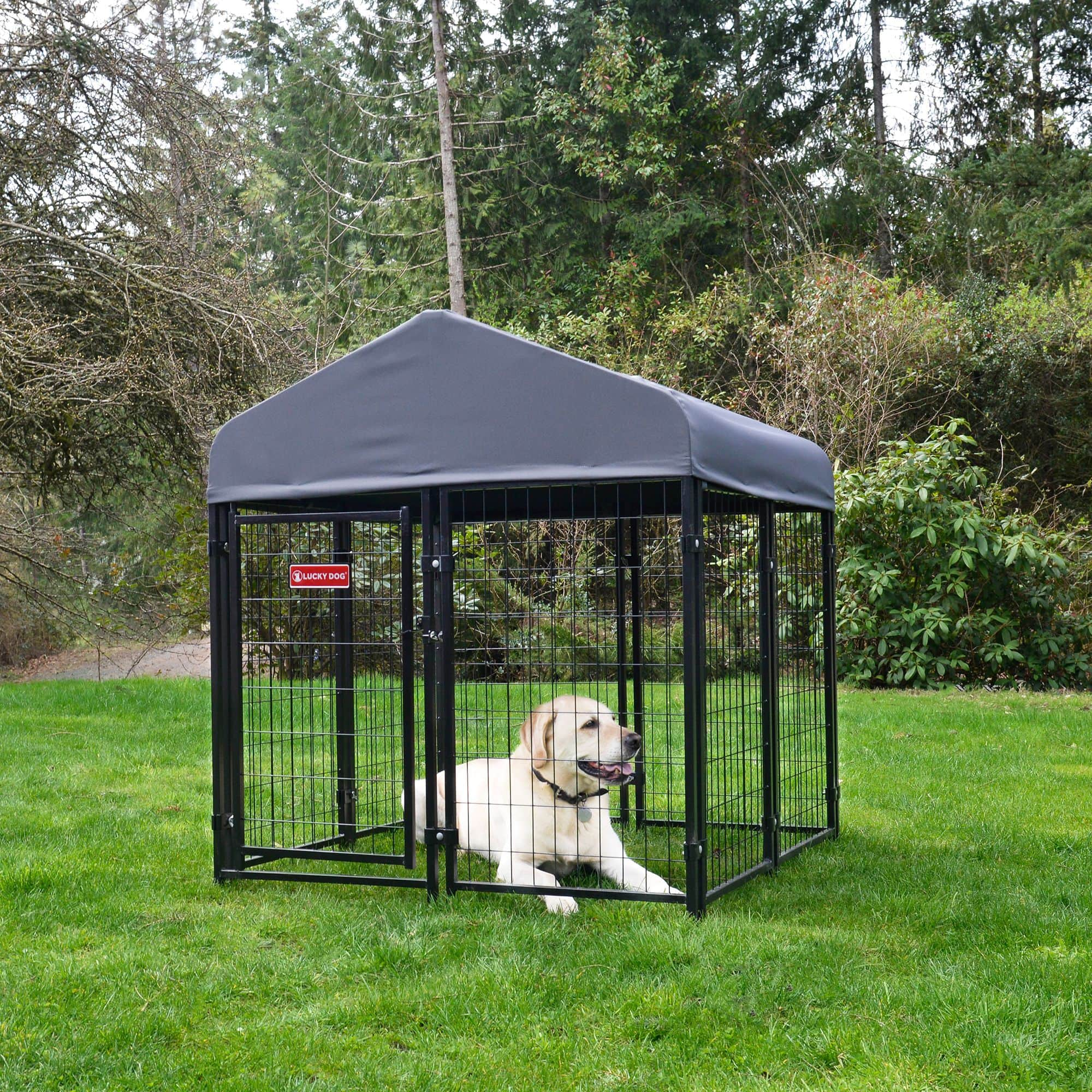 Dog cages canadian tire best sale