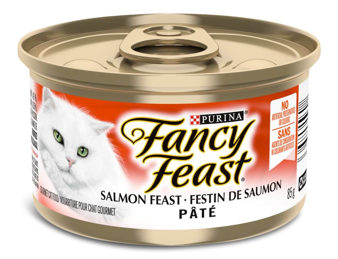 Cat food special store offers