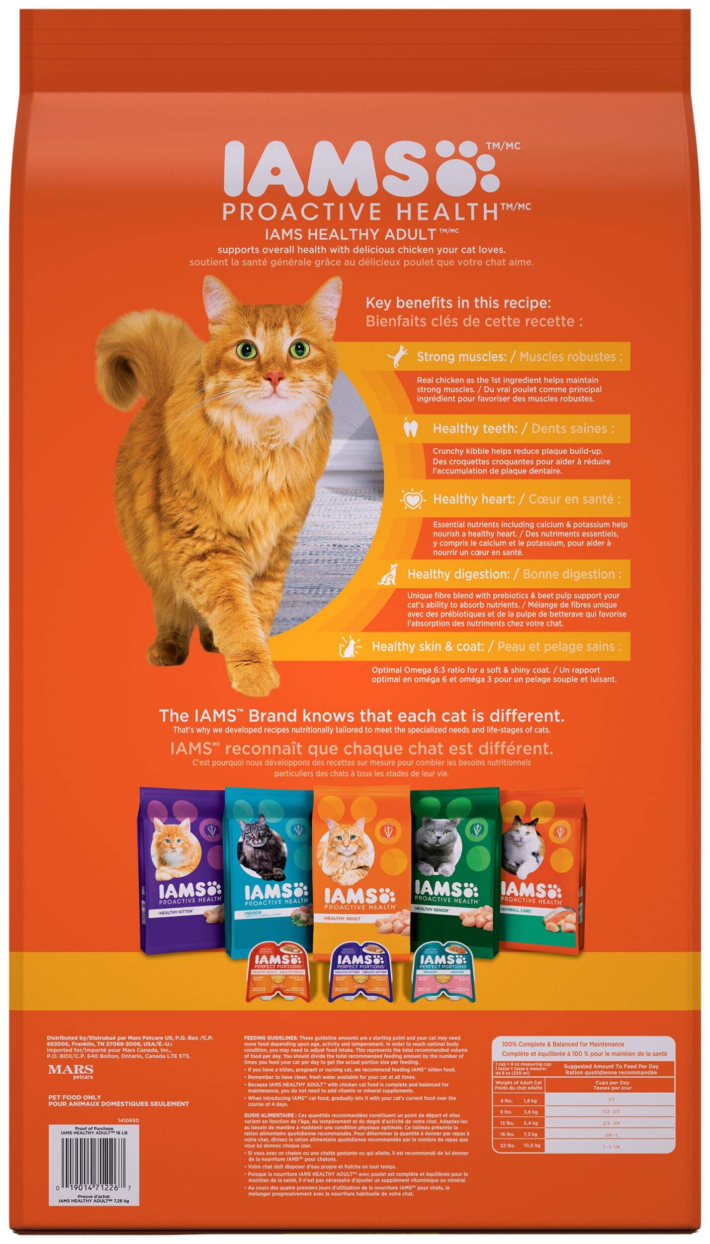 IAMS Proactive Health Adult Dry Cat Food, 7.2-kg | Canadian Tire