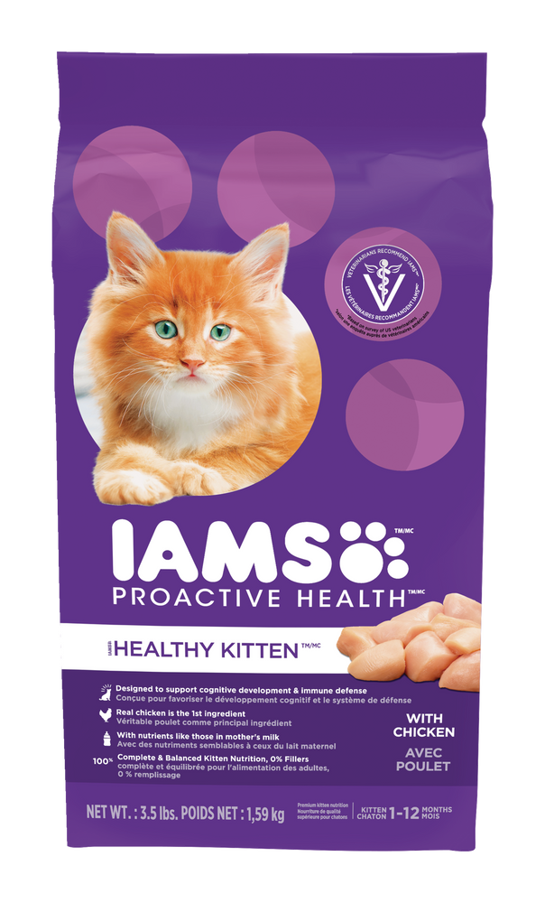 iams kitten wet food how much to feed