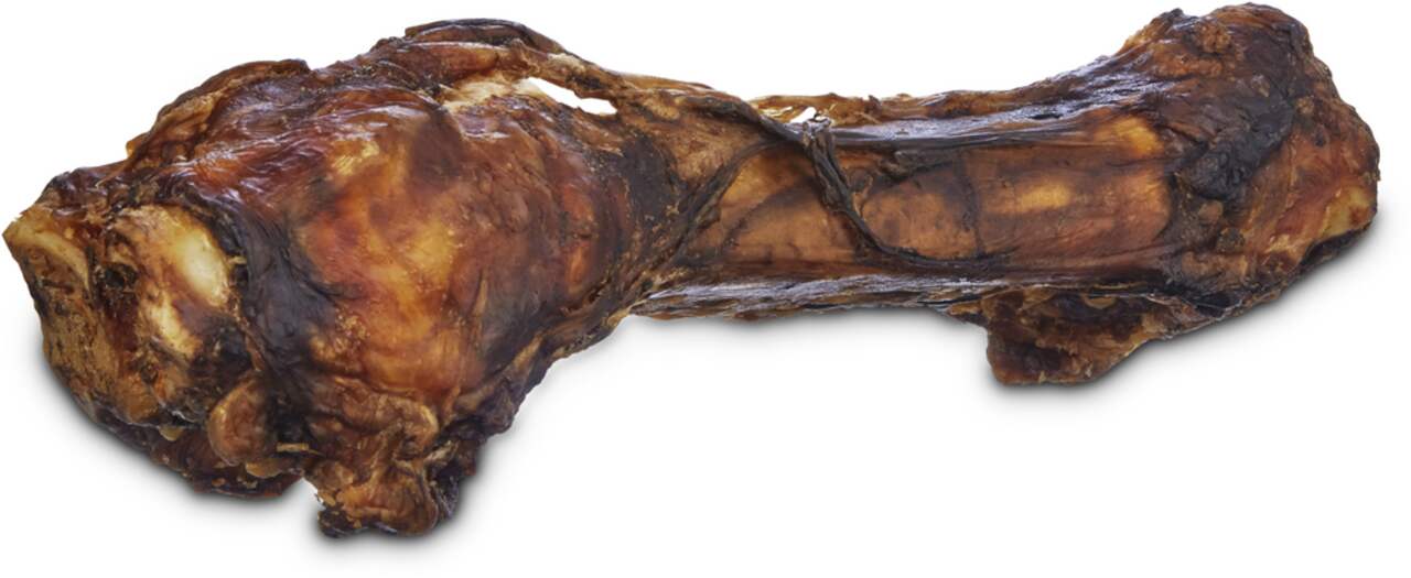 Beef foreshank bone for dogs 2025