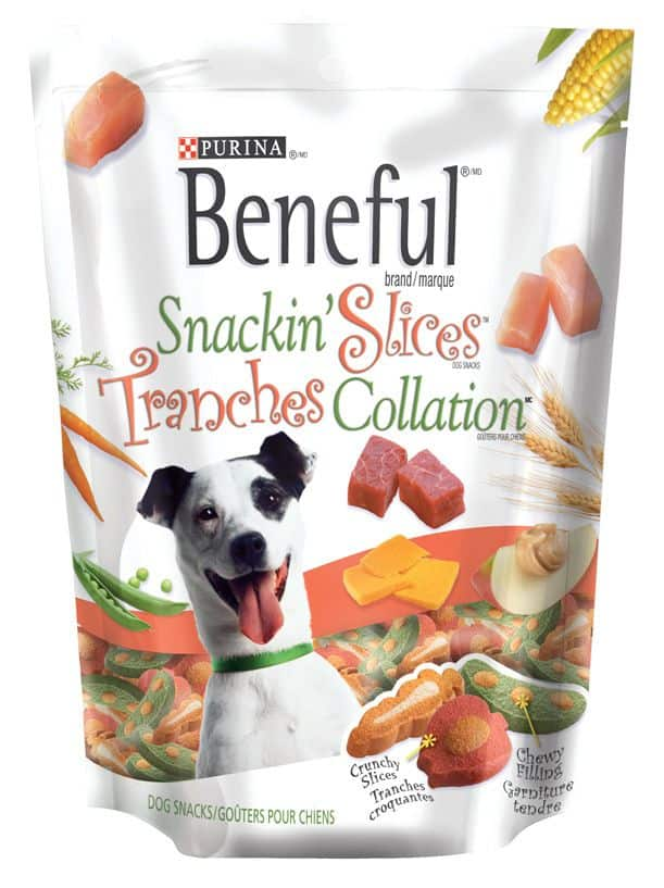 Beneful chewy best sale dog food