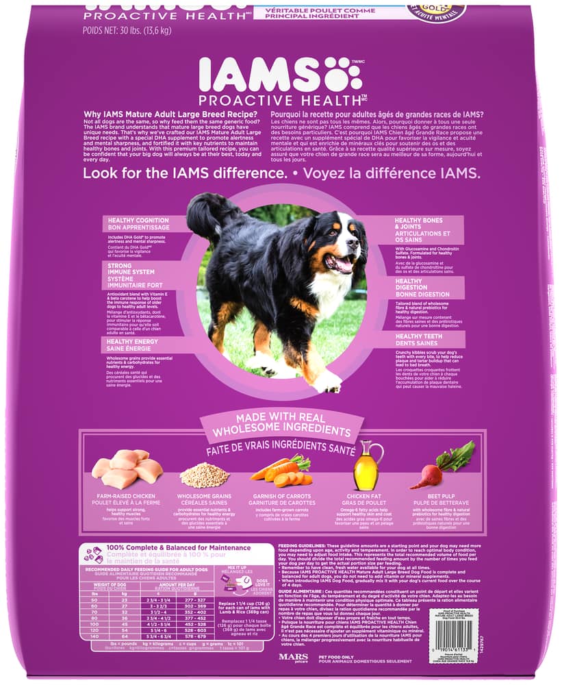 how much iams should i feed my dog