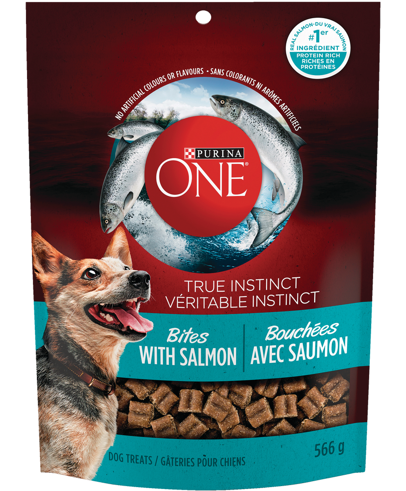 purina one dog salmon