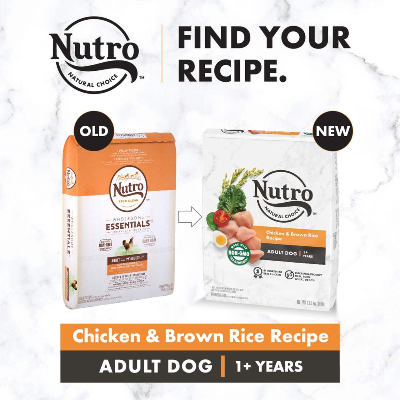 Nutro wholesome best sale dog food