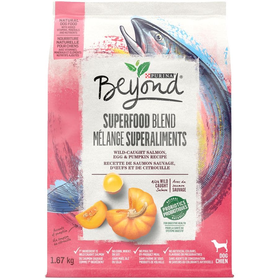 Purina Beyond SuPerfood Blend Salmon Egg PumPkin All Ages Dry Dog Food 1.67 kg