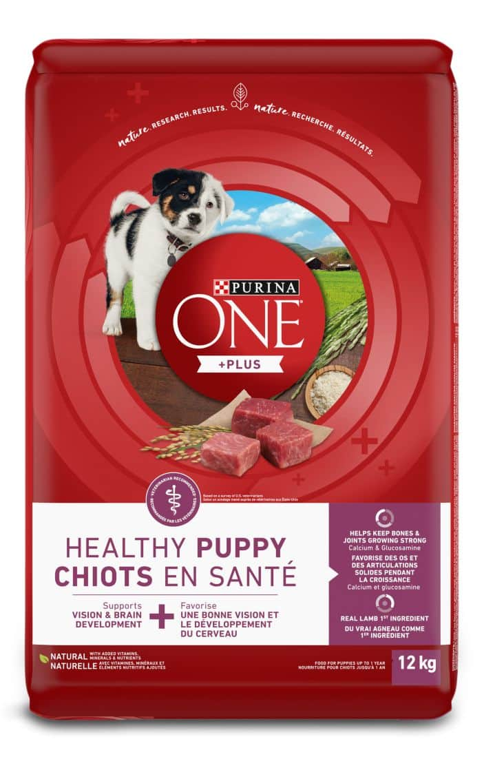 Purina One Healthy Puppy Formula Dry Dog Food Micronutrient Antioxidant Rich 12 kg